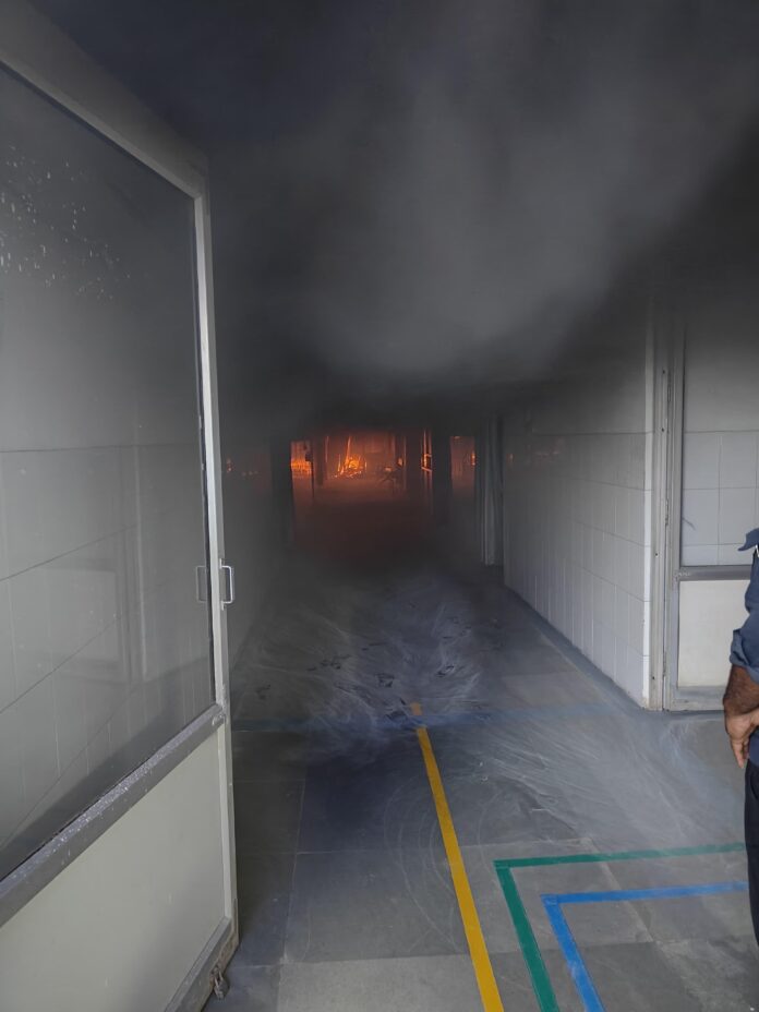 IMG-20251028-WA0019(1)