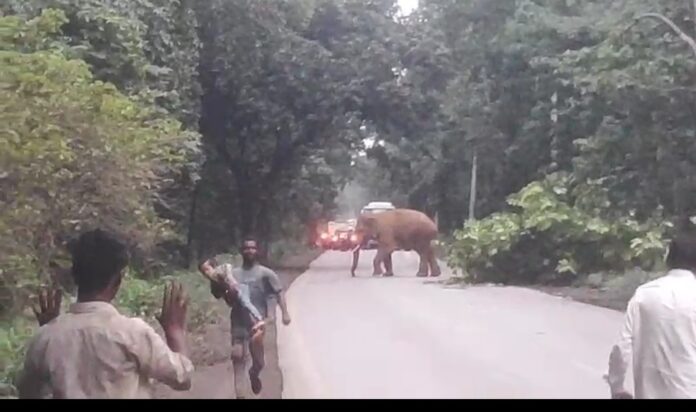 Screenshot_2025-10-13-21-15-07-78_6012fa4d4ddec268fc5c7112cbb265e7~2