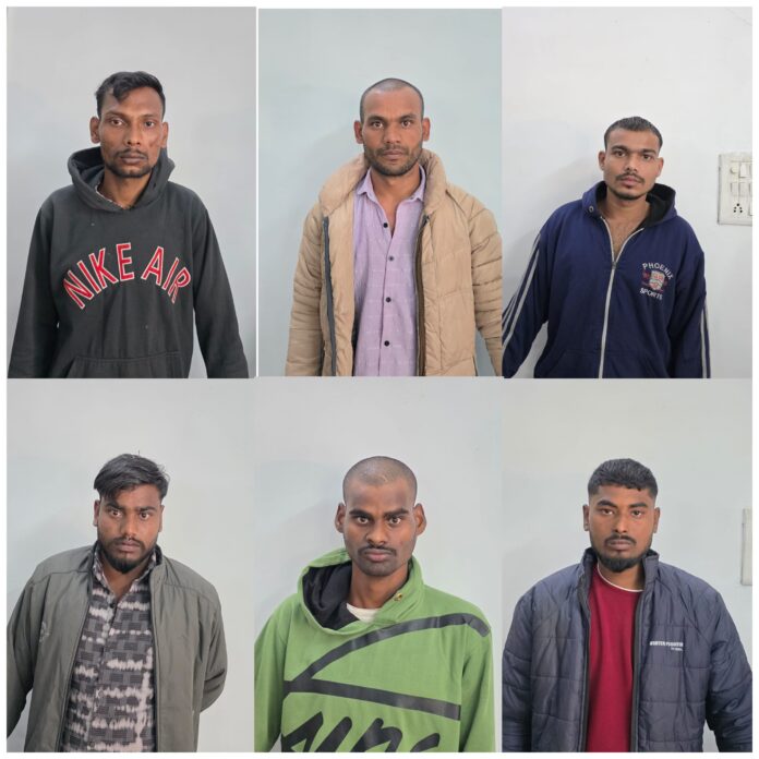 InCollage_20251116_205230896