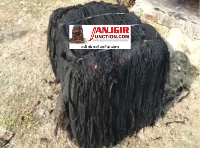 InShot_20251116_172143945