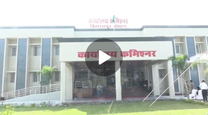 Screenshot_20251115_173951_WhatsAppBusiness