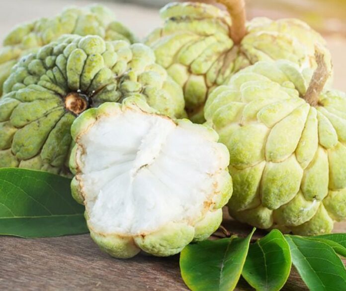 custard-apple-800x675
