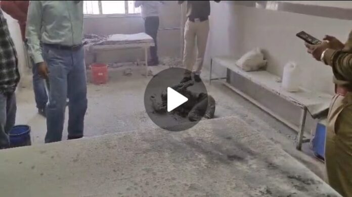 48b34334-441a-40b4-a836-d83596e5d4f7