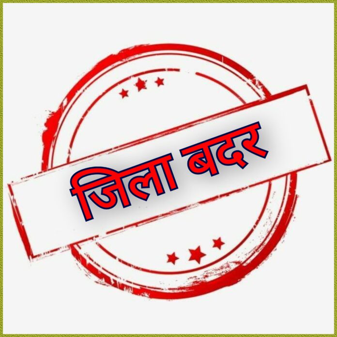 InCollage_20251212_203927756