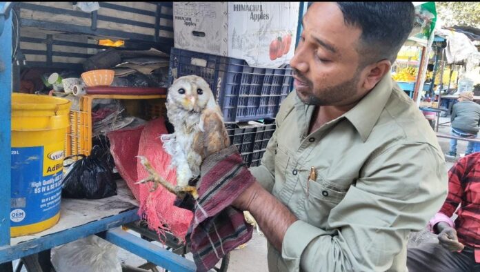 9865cc45-3a07-48f0-96a8-34b9611bdb3e