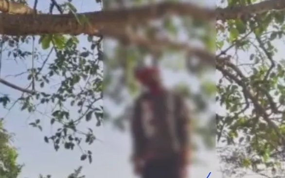 Screenshot_20260111_123526_Chrome