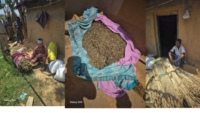 InShot_20260324_201751760