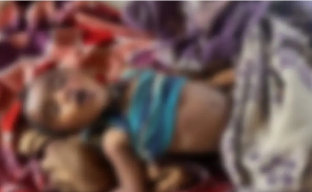 Screenshot_20260325_193029_Chrome